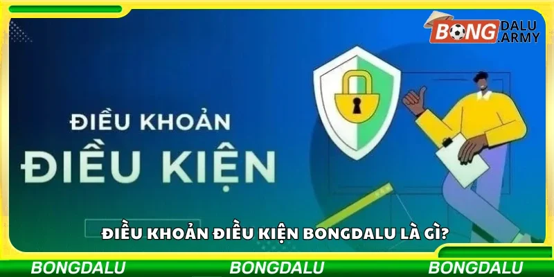 Điều khoản điều kiện Bongdalu là gì?