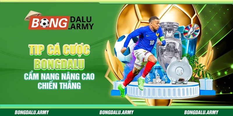 Tip cá cược Bongdalu - Cẩm nang nâng cao chiến thắng