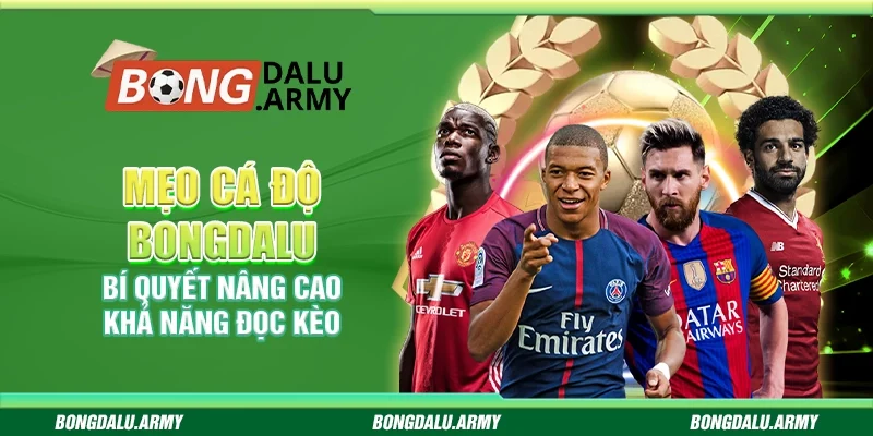 Mẹo cá độ Bongdalu - Bí quyết nâng cao khả năng đọc kèo