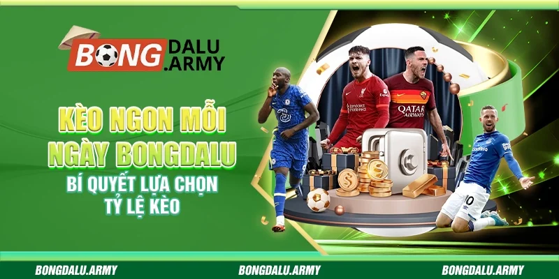 Kèo ngon mỗi ngày Bongdalu - Bí quyết lựa chọn tỷ lệ kèo