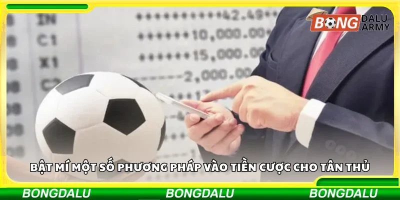 Bật mí một số phương pháp vào tiền cược cho tân thủ