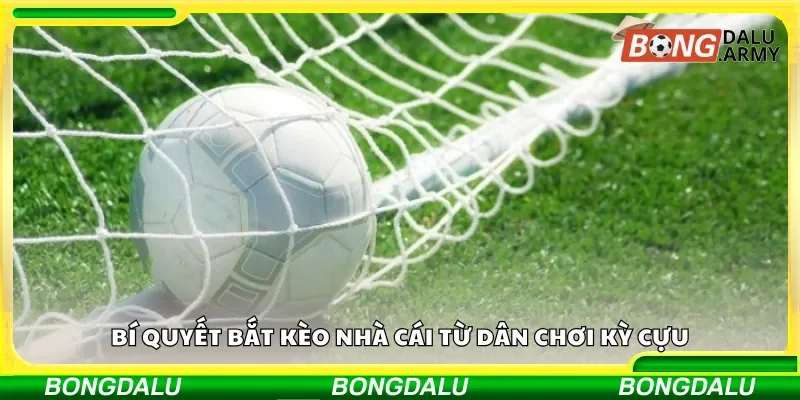 Bí quyết bắt kèo nhà cái từ dân chơi kỳ cựu.