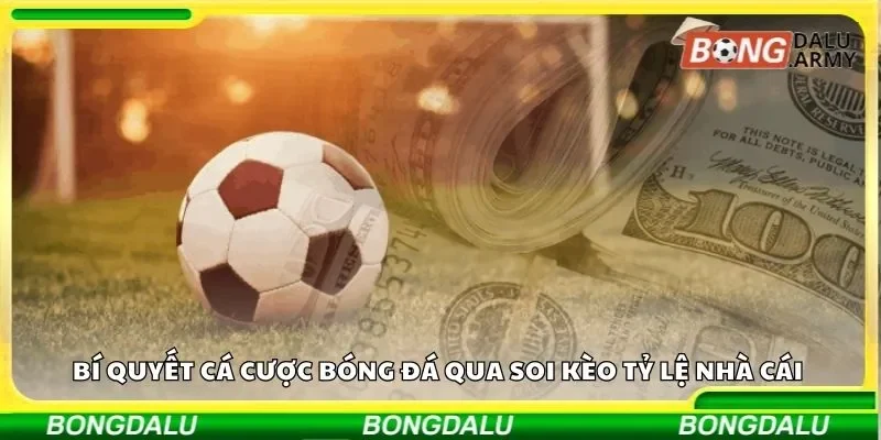 Bí quyết cá cược bóng đá qua soi kèo tỷ lệ nhà cái 