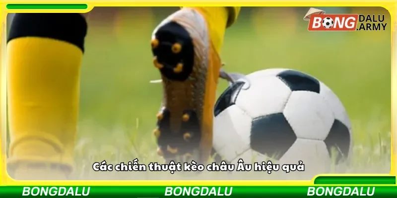 Những cách chơi kèo châu Âu mang lại hiệu quả cao