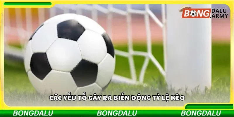 Những yếu tố ảnh hưởng đến sự thay đổi tỷ lệ kèo