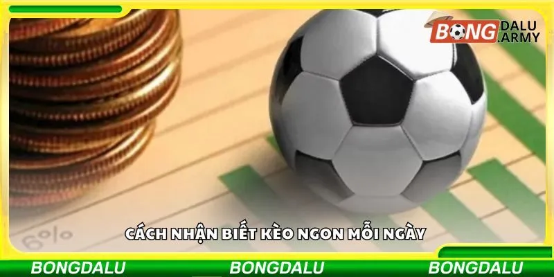Cách nhận biết kèo ngon mỗi ngày qua từng ngày thi đấu