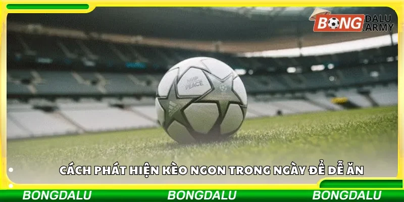 Các yếu tố quyết định kèo ngon trong hôm nay