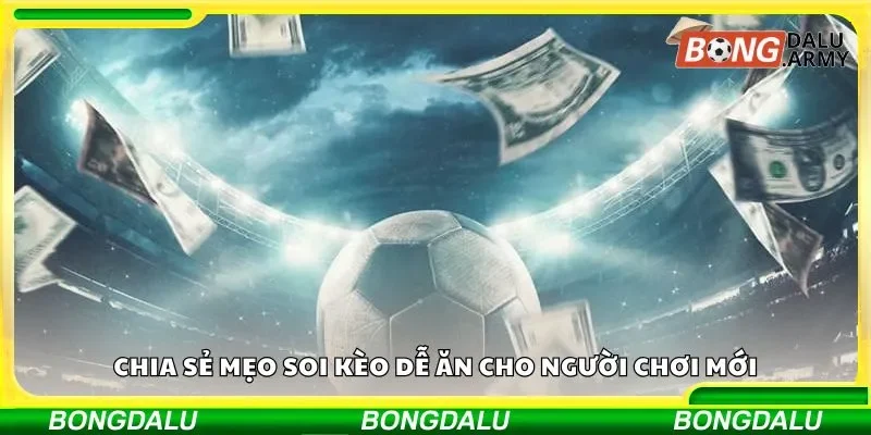Chia sẻ mẹo soi kèo dễ ăn cho người chơi mới