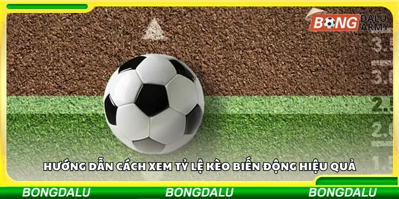 Cách xem tỷ lệ kèo biến động một cách chính xác