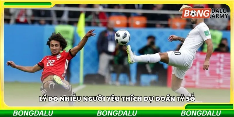 Lý do nhiều người yêu thích dự đoán tỷ số