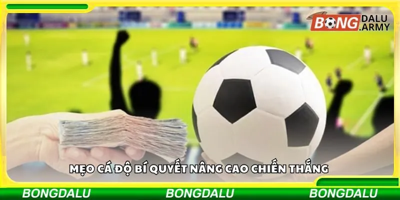 Mẹo cá độ bí quyết nâng cao chiến thắng