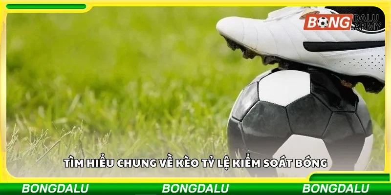 Khám phá tổng quan về kèo tỷ lệ kiểm soát bóng
