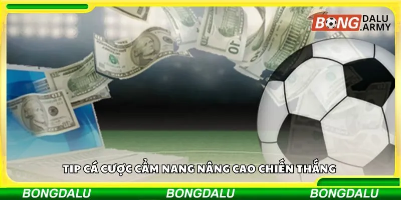 Tip cá cược cẩm nang nâng cao chiến thắng