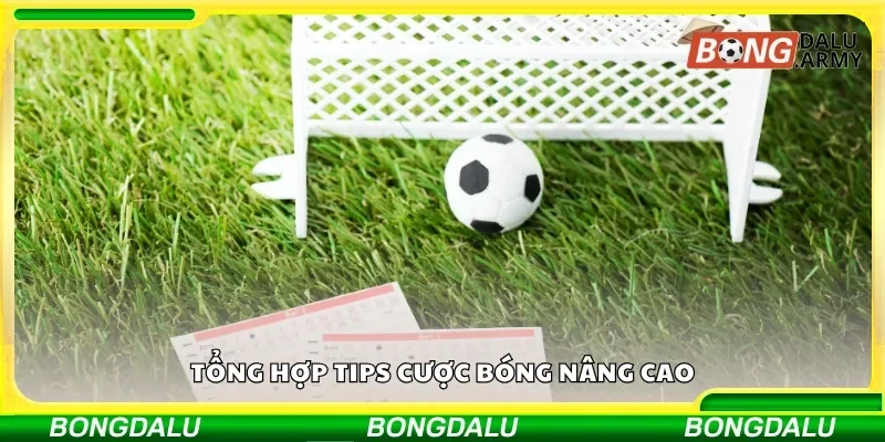 Tham khảo các tips cược bóng để áp dụng vào cá cược